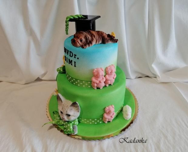 Na promócie pre veterinárku..., torta, Torty - škola, stužková, Kadanka, 2