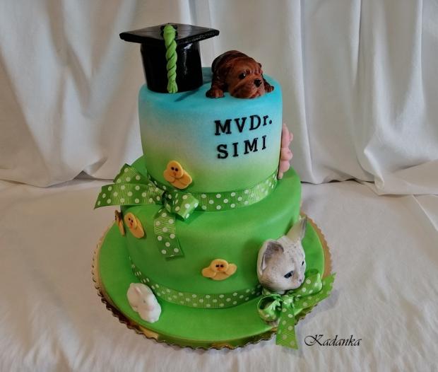 Na promócie pre veterinárku..., torta, Torty - škola, stužková, Kadanka, 3