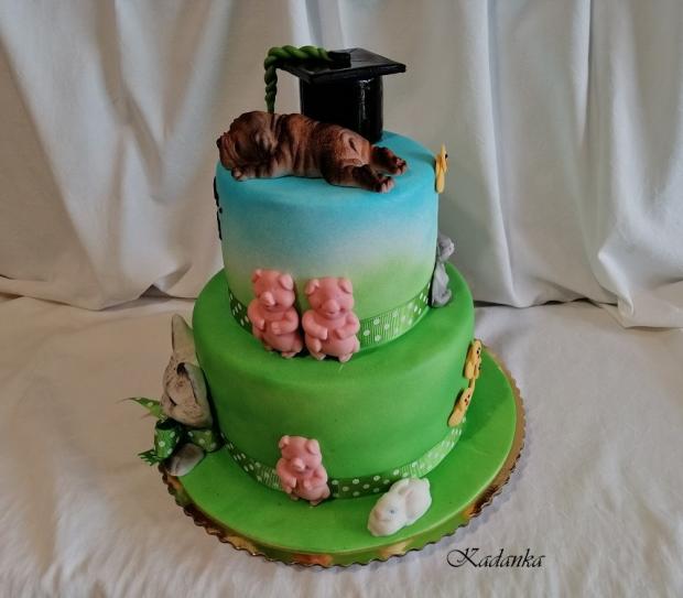 Na promócie pre veterinárku..., torta, Torty - škola, stužková, Kadanka, 5