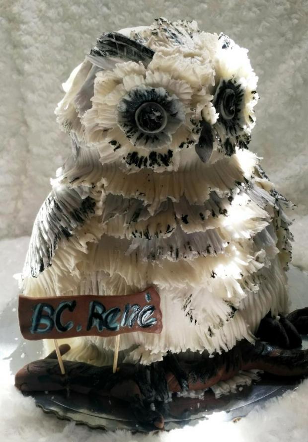Sovička k promóciách, torta, Torty - škola, stužková, Lucia Gažiová, 2