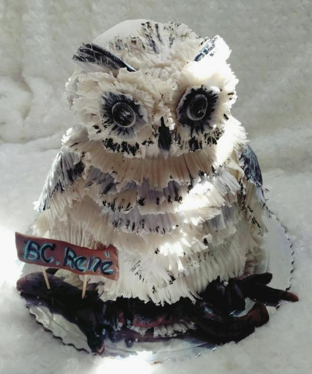 Sovička k promóciách, torta, Torty - škola, stužková, Lucia Gažiová, 1