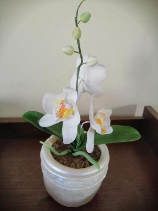 Orchidka na tortu, torta, Ozdoby na torty, Sigetka, 1