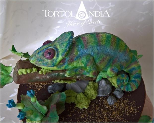Chameleón pre Toníka, torta, Čokoládové torty, Tortolandia.sk, 3
