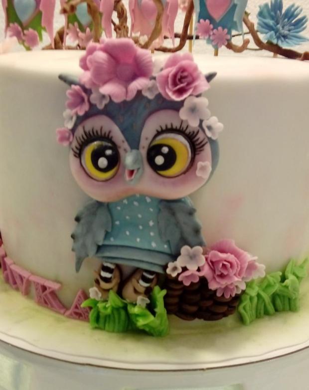 Torta so sovičkami na narodeniny, torta, Torty so zvieratkami Torta so sovičkami na narodeniny, torta, Torty so zvieratkami, babina 555, 2