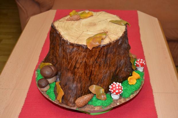 Kmeň stromu, torta, Narodeninové torty, N a D, 1