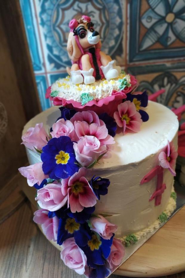 Sky - Tlapková patrola, torta, Rozprávkové torty, Cattys, 2
