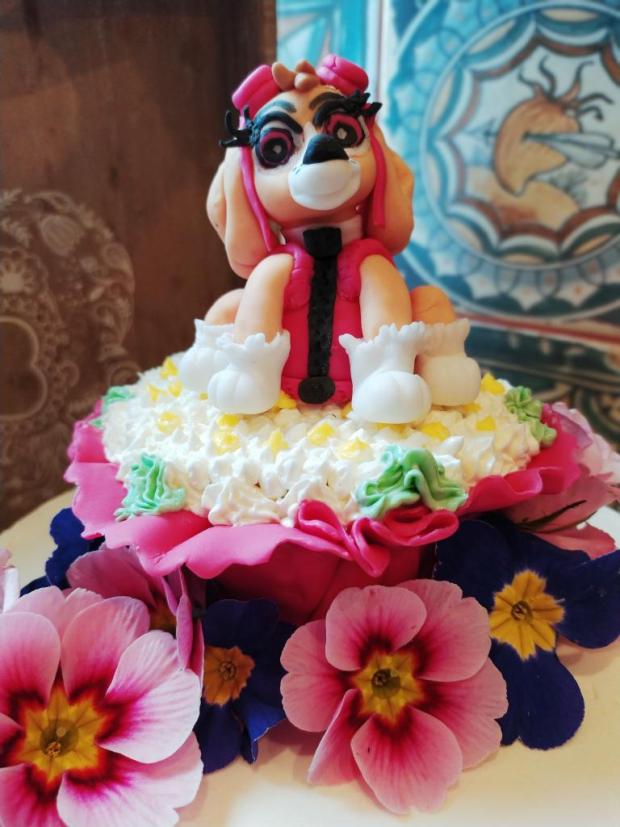 Sky - Tlapková patrola, torta, Rozprávkové torty, Cattys, 3