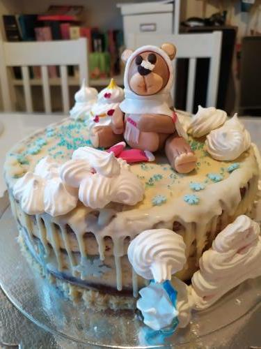 Zimná pre škôlkarov, torta, Torty so zvieratkami, Cattys, 3