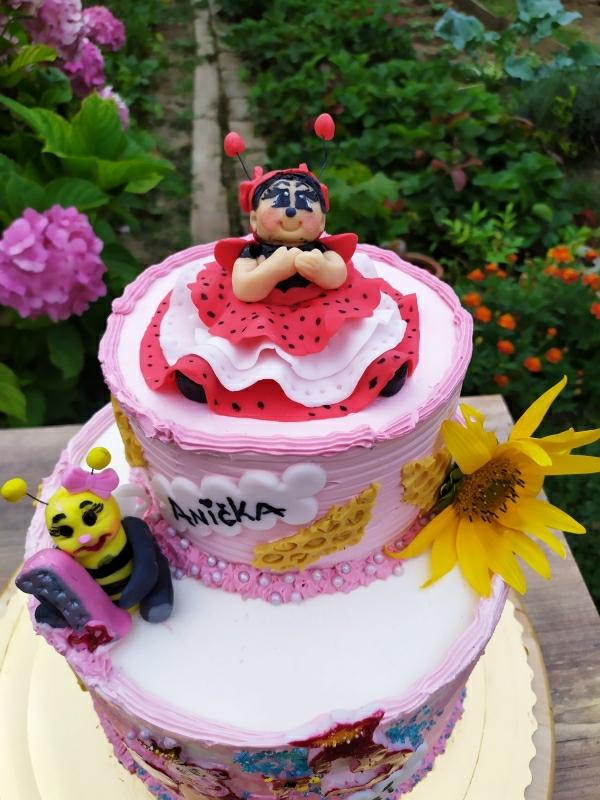 Pre dvoch malých chrobáčikov , torta, Ostané torty pre deti, Cattys, 5