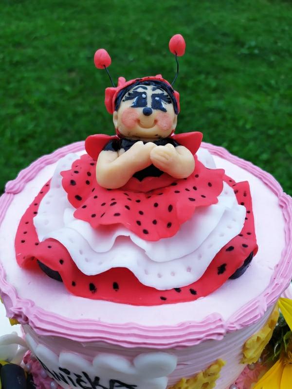 Pre dvoch malých chrobáčikov , torta, Ostané torty pre deti, Cattys, 3