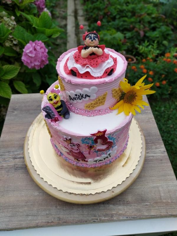 Pre dvoch malých chrobáčikov , torta, Ostané torty pre deti, Cattys, 4