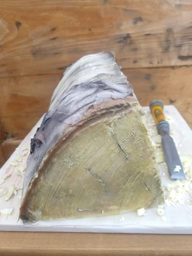 Brezové drevo, torta, Netradičné torty Brezové drevo, torta, Netradičné torty, ErikaBa, 3
