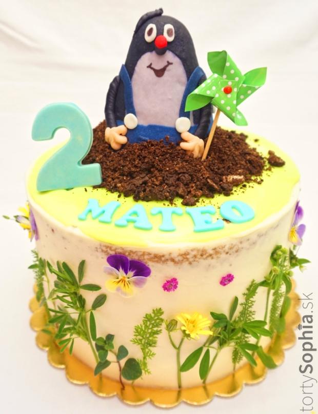 Narodeninová, torta, Rozprávkové torty, tortysophia.sk, 1