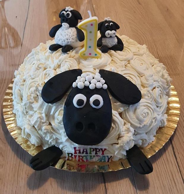 Prve narodeniny, torta, Torty so zvieratkami, Zuzana Jankechova Civadelić, 1
