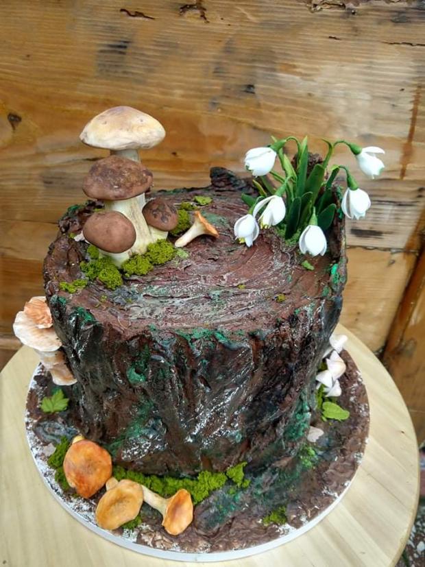 Torta pre dvoch co ľúbia zbierať huby a milujú prírodu., torta, Netradičné torty, ErikaBa, 1