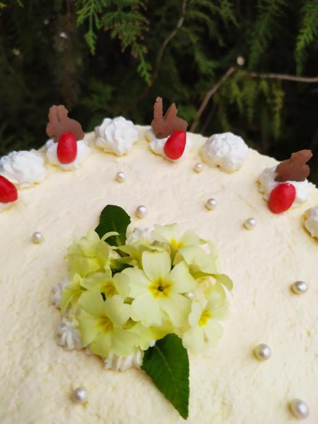 Veľkonočné jahodové pokušenie bez laktózy a lepku, torta, Torty na cirkevné sviatky, Cattys, 3