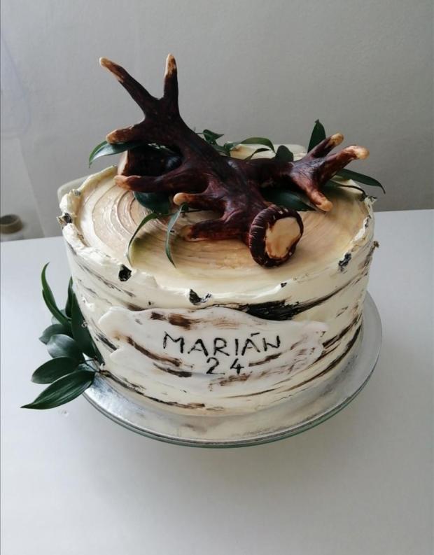 Polovnicka , torta, Narodeninové torty, Judita Parobeková, 1