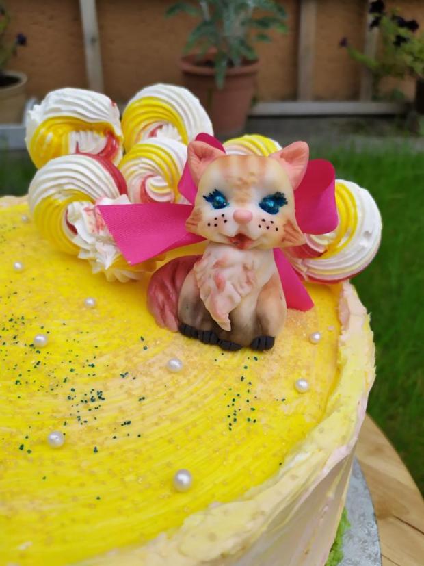 Torta pre sestričky,čo majú radi mačičky, torta, Torty so zvieratkami, Cattys, 3