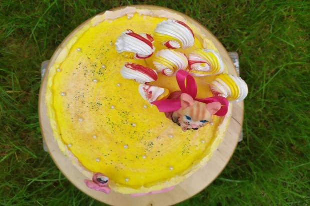 Torta pre sestričky,čo majú radi mačičky, torta, Torty so zvieratkami, Cattys, 5