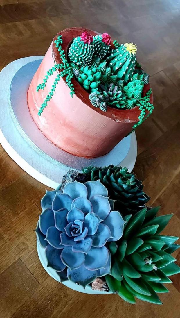 Kaktusy a sukulenty, torta, Narodeninové torty, Sisenka, 1