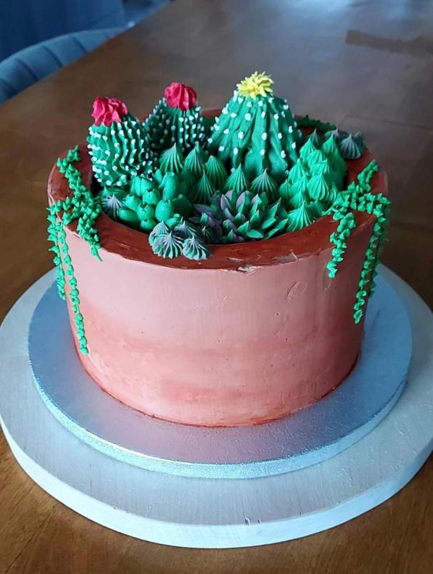 Kaktusy a sukulenty, torta, Narodeninové torty, Sisenka, 2