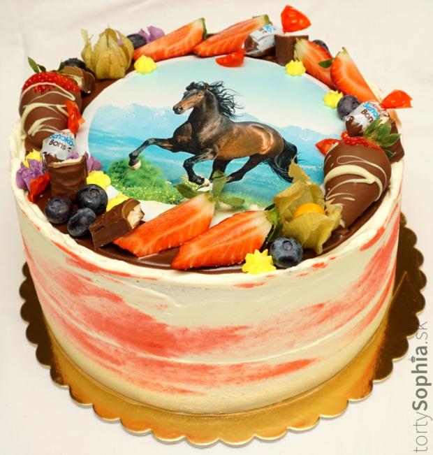 Narodeninová, torta, Torty so zvieratkami, tortysophia.sk, 1