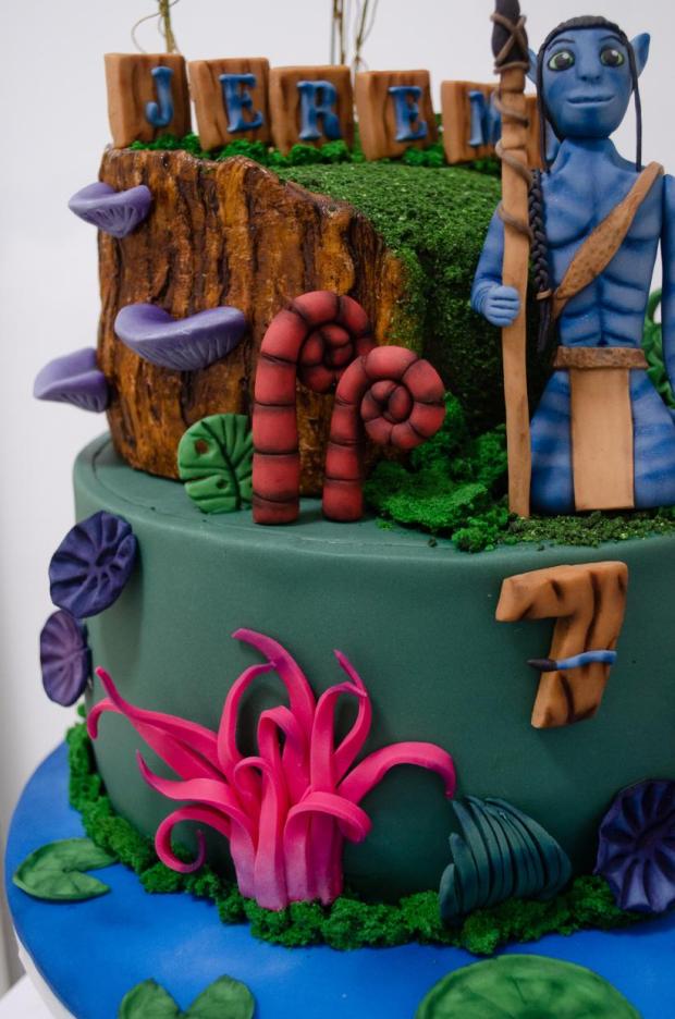 Avatar Cake, torta, Narodeninové torty, Rozprávková mama, 4