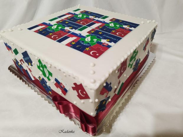 Erasmus pre Gymnázium, Alejová 1, Košice, torta, Torty - škola, stužková, Kadanka, 4
