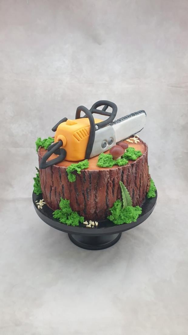Torta pre pilčíka, torta, Narodeninové torty, Miriam 17, 2