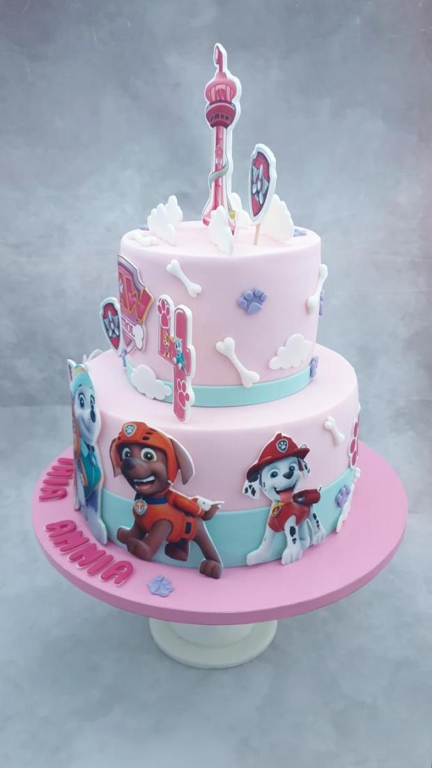 Paw Patrol, torta, Torty pre deti, Miriam 17, 3