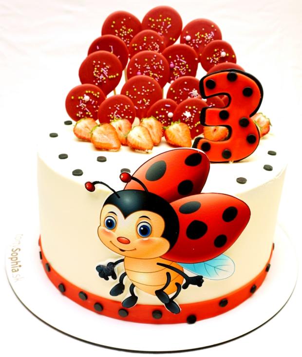 Narodeninová s lienkou, torta, Torty pre dievčatá, tortysophia.sk, 1