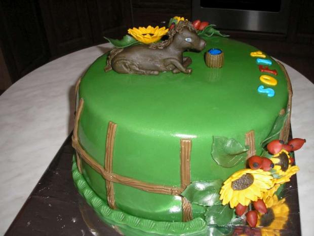 z iného pohľadu, torta, Narodeninové torty, petra 18, 1