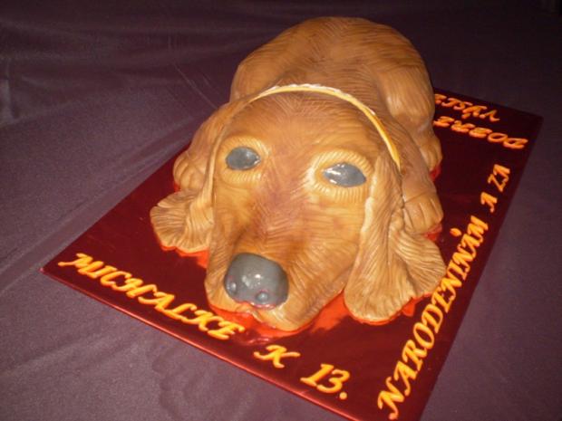 kokršpaniel Maxo, torta, Torty so zvieratkami kokršpaniel Maxo, torta, Torty so zvieratkami, , 1