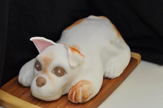 pokus o psika, torta, ufonka, 1