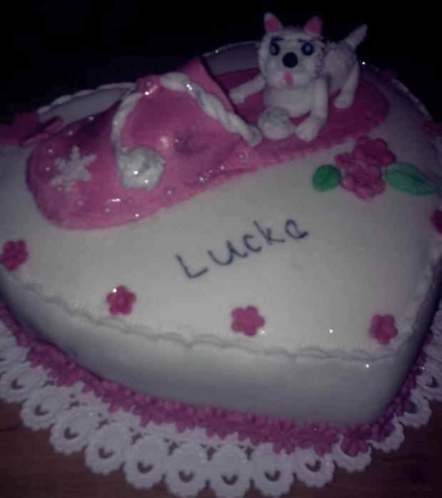 Lucke na meniny, torta, Netradičné torty, AničkaP, 1
