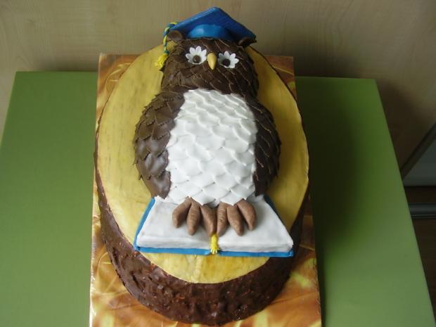 múdra sova, torta, Torty - škola, stužková múdra sova, torta, Torty - škola, stužková, anasul, 1