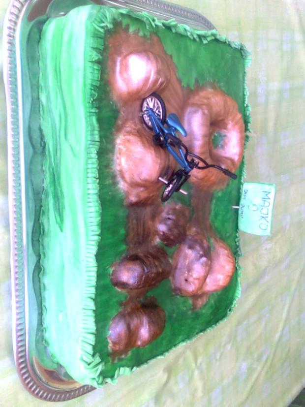 bikers dirt jump, torta, Ostané torty pre deti, luluba, 1