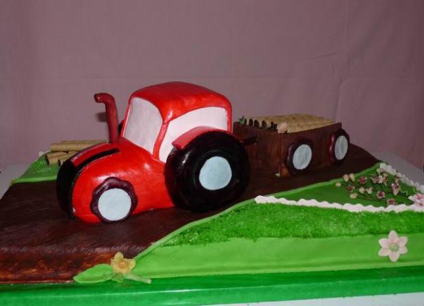 Traktor, torta, Torty autíčka, vláčiky Traktor, torta, Torty autíčka, vláčiky, silviar, 1