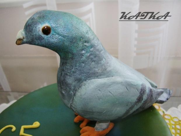 holub z blízka, torta, Ozdoby na torty holub z blízka, torta, Ozdoby na torty, Katka Ozsvaldova, 1