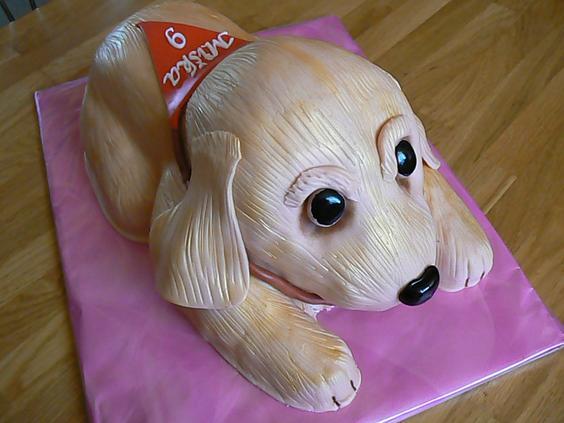 labrador, torta, Narodeninové torty, katkakotruchova, 1