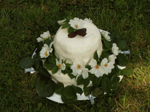 torta so zivymi ruzickami, torta, Narodeninové torty, indijanka, 1