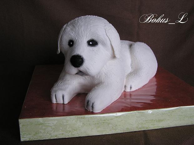 Slovenský čuvač - šteniatko, torta, Torty so zvieratkami Slovenský čuvač - šteniatko, torta, Torty so zvieratkami, Bohus_L, 1
