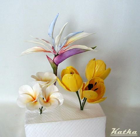 strelícia,tulipány a plumérie, torta, Ozdoby na torty strelícia,tulipány a plumérie, torta, Ozdoby na torty, Katka Ozsvaldova, 1