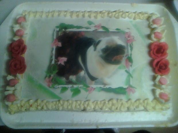 Moja Chikinka, torta, Narodeninové torty, Bejč, 1