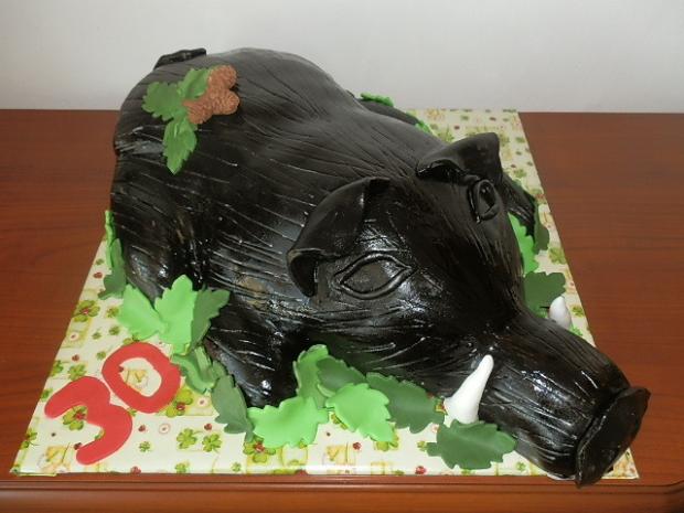 Diviak, torta, Netradičné torty, Ildi B., 1