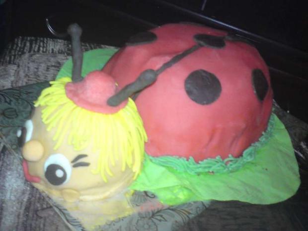 lienka iný pohľad, torta, Torty so zvieratkami, jannka.m, 1