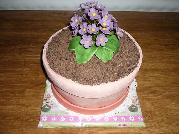fialka na zelanie....4, torta, Netradičné torty fialka na zelanie....4, torta, Netradičné torty, jarka22, 1