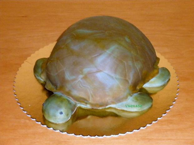 Korytnačka, torta Korytnačka, torta, sio, 1