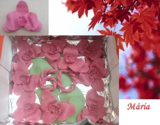Moje prvé orchidee..., torta, Ozdoby na torty Moje prvé orchidee..., torta, Ozdoby na torty, Mariolka, 1