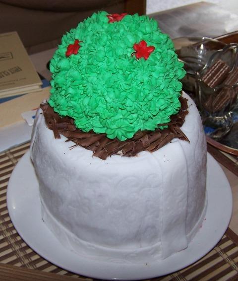 Prvy kaktusik pre tatinka, torta, Narodeninové torty, sambologicka, 1